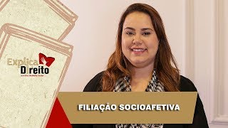 Explica Direito Filiação Socioafetiva  2019 [upl. by Enahs]