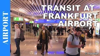 TRANSIT WALK AT FRANKFURT Airport FRA Terminal 1  Connection Flight Transfer Arriving amp Departing [upl. by Fisk]